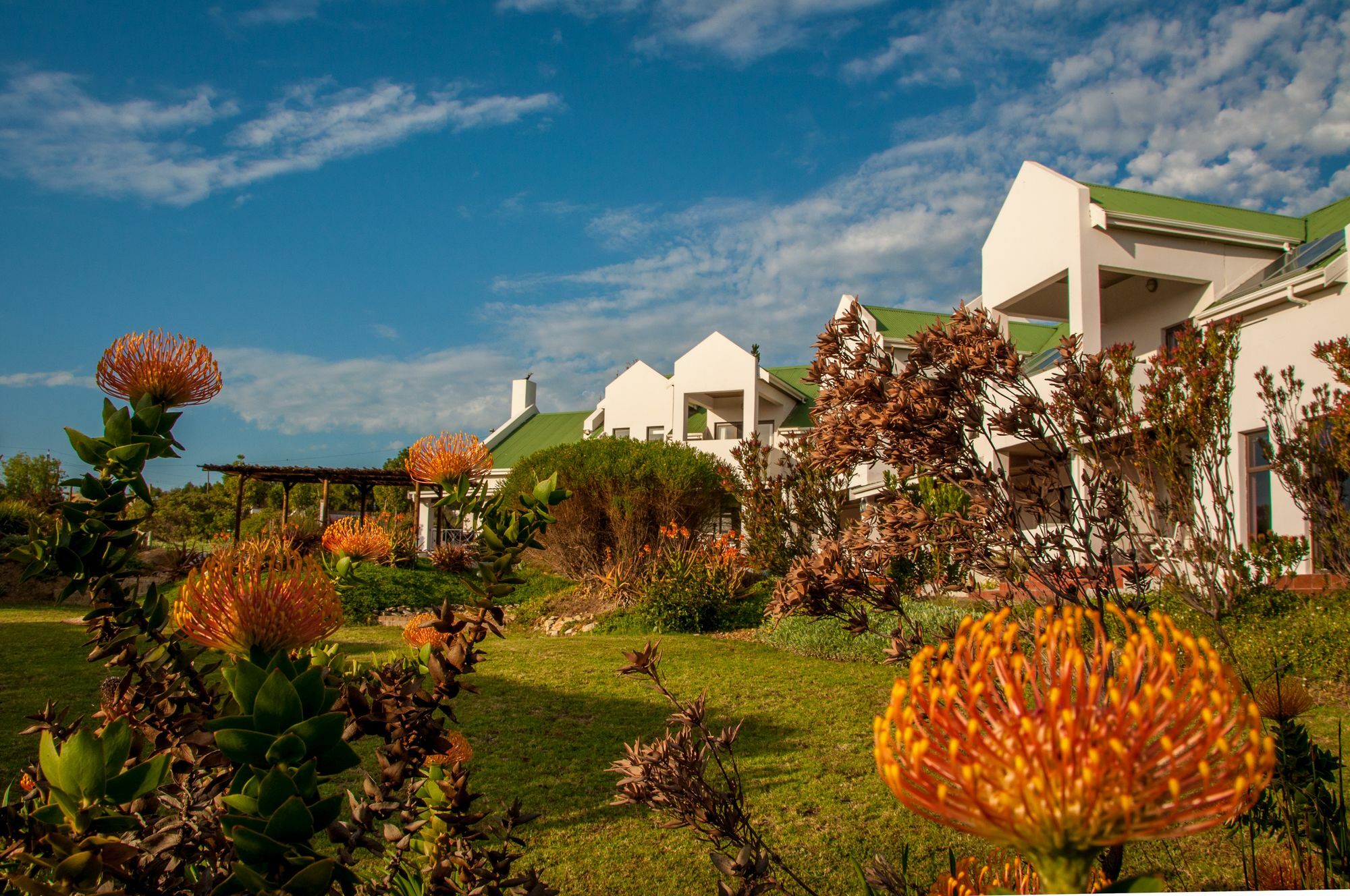 Wind-Rose Guest House Gordonʼs Bay Exteriér fotografie